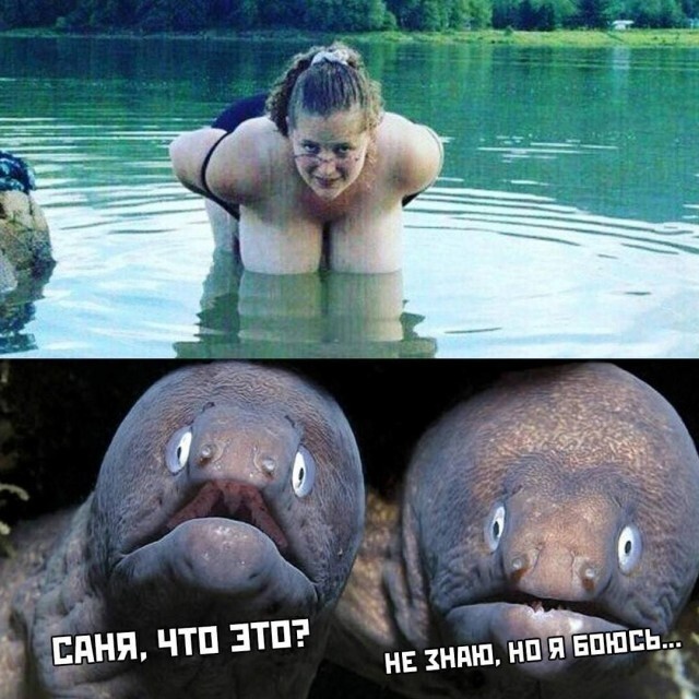 Большая тарелка улыбатора