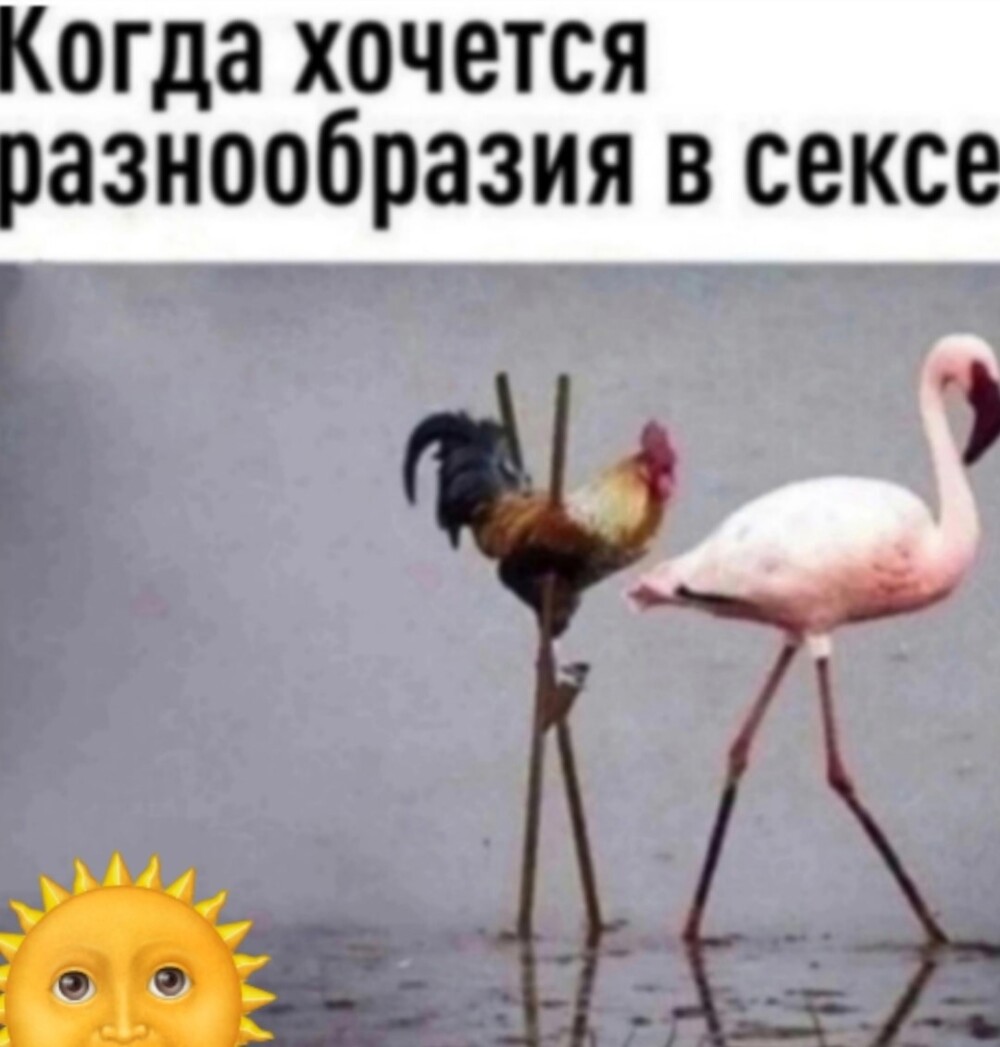 Большая тарелка улыбатора