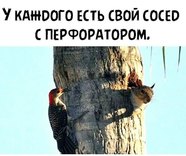 Большая тарелка улыбатора