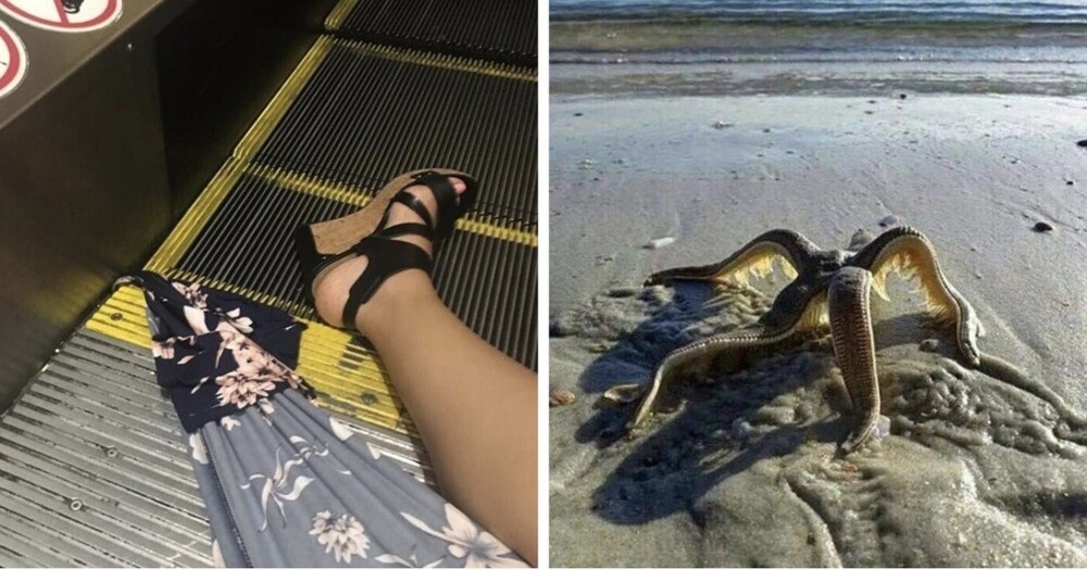 19+ фотографий, способных вызвать неприятные эмоции и даже ужас у самых впечатлительных