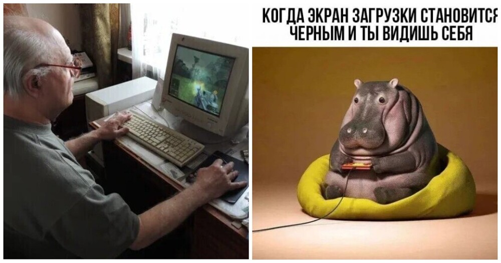 Мозг мужчин стареет быстрее женского: норвежские ученые выяснили, как этого можно избежать