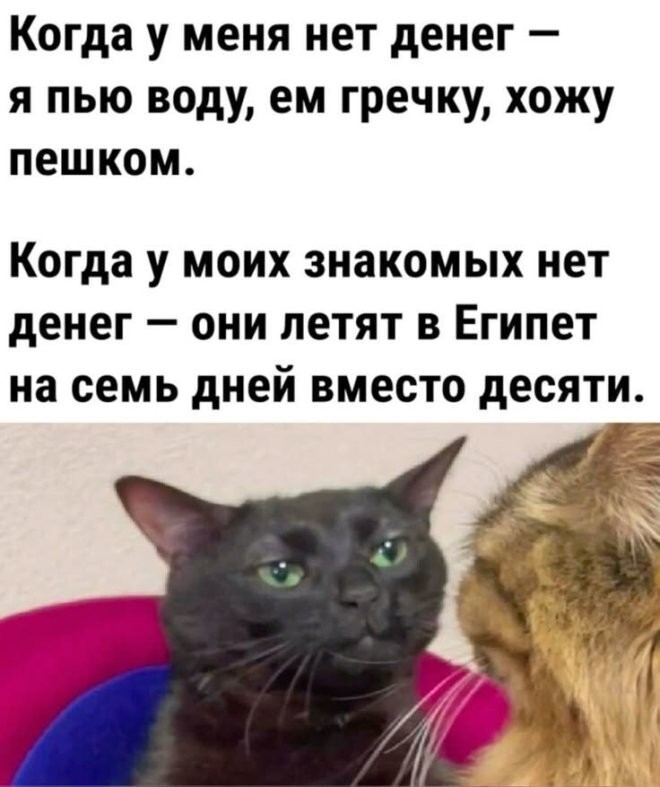 Смешные картинки