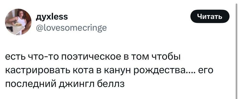 Смешные картинки