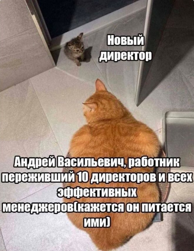Смешные картинки