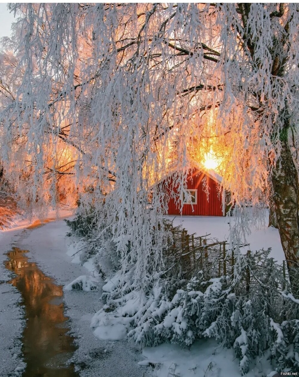 Солянка