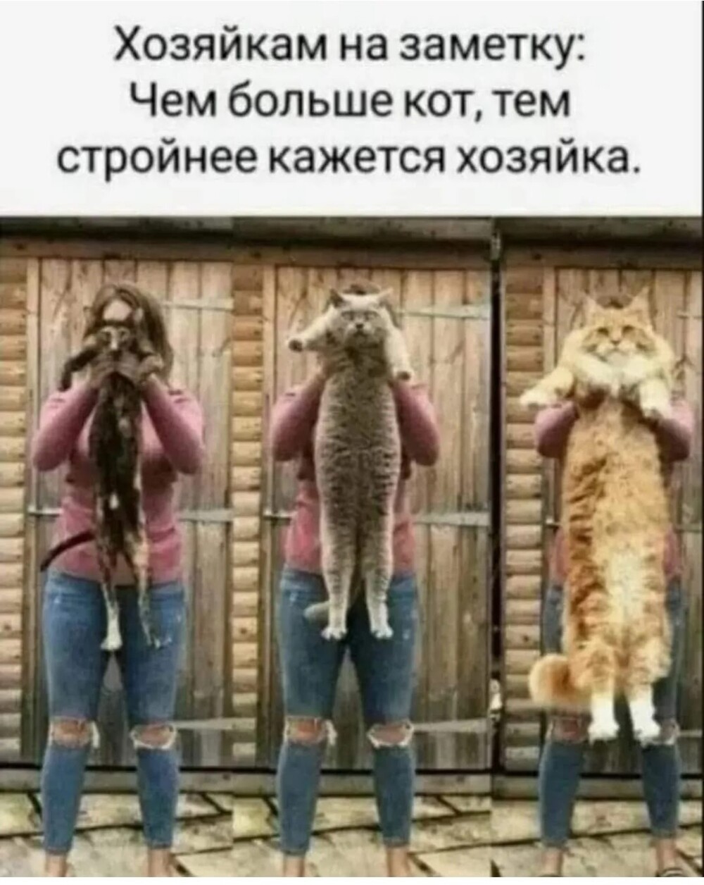 Большая миска улыбатора