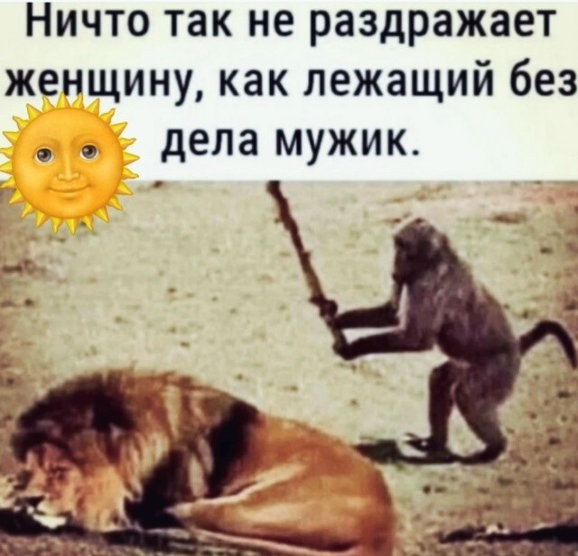 Большая миска улыбатора
