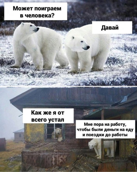 Большая миска улыбатора