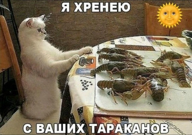 Большая миска улыбатора