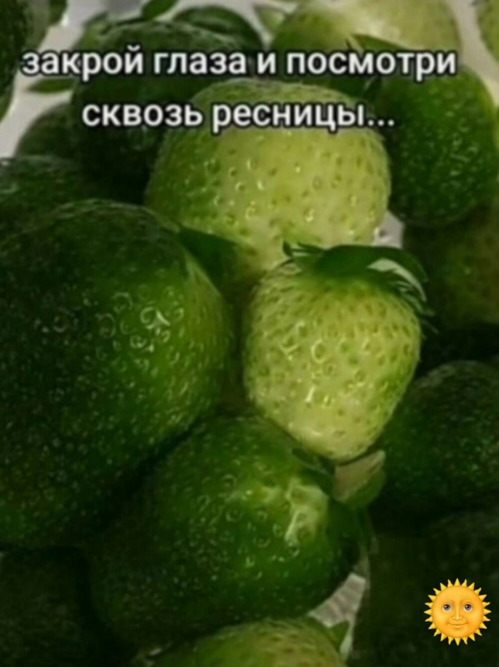 Большая миска улыбатора