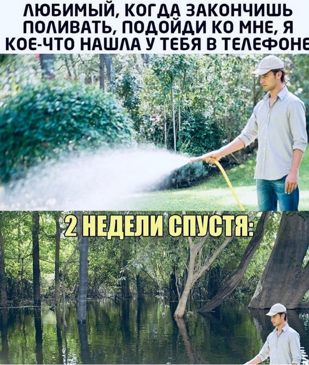 Большая миска улыбатора