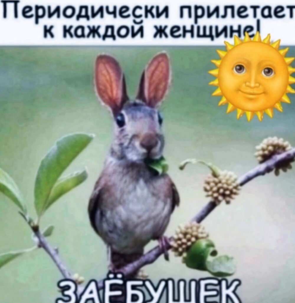 Большая миска улыбатора