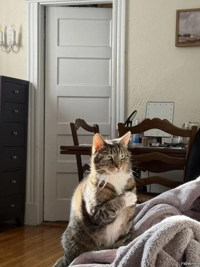 С добрым утром