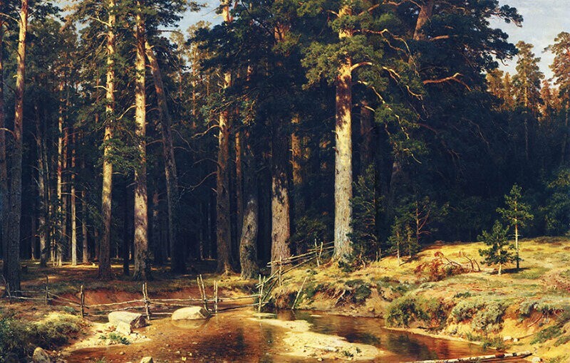 И. Шишкин «Корабельная роща» 1898
