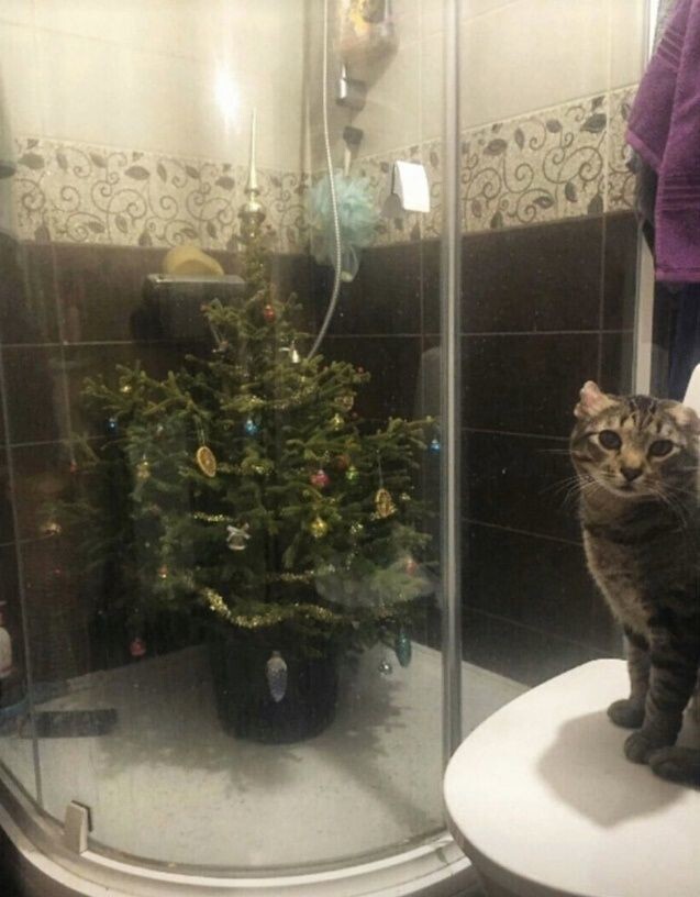 17. И как это понимать?