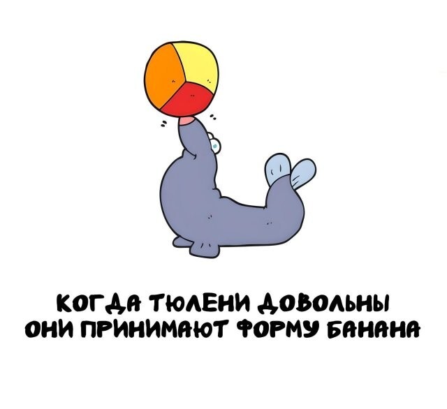 А вдруг ты не знал…