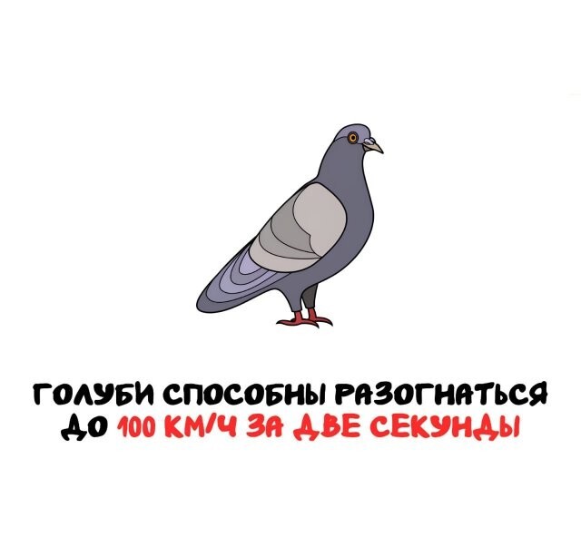 А вдруг ты не знал…