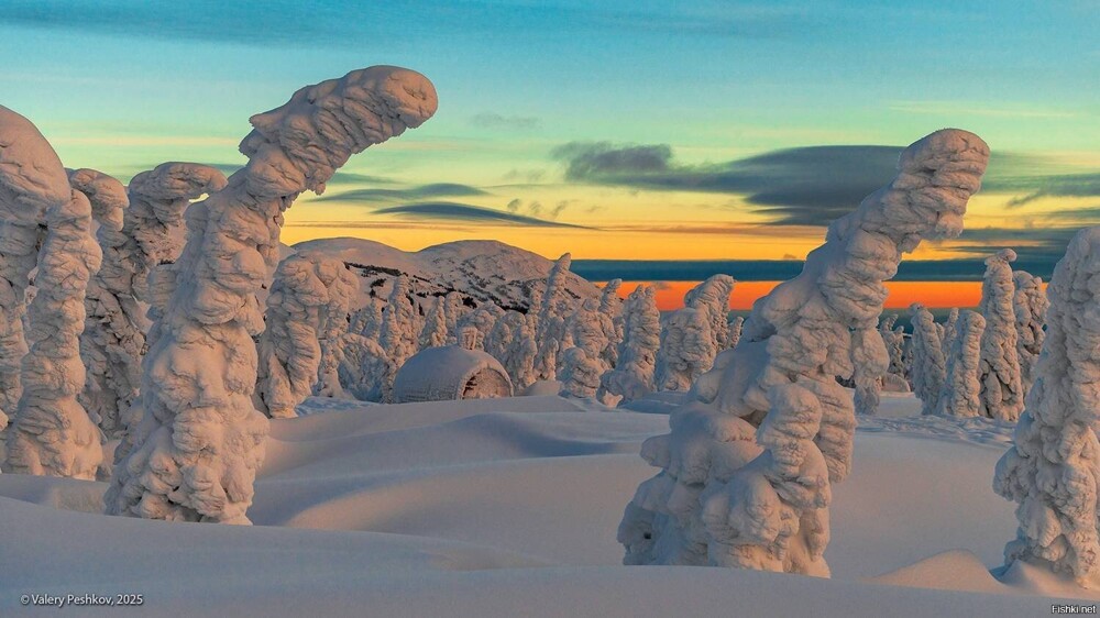 Солянка