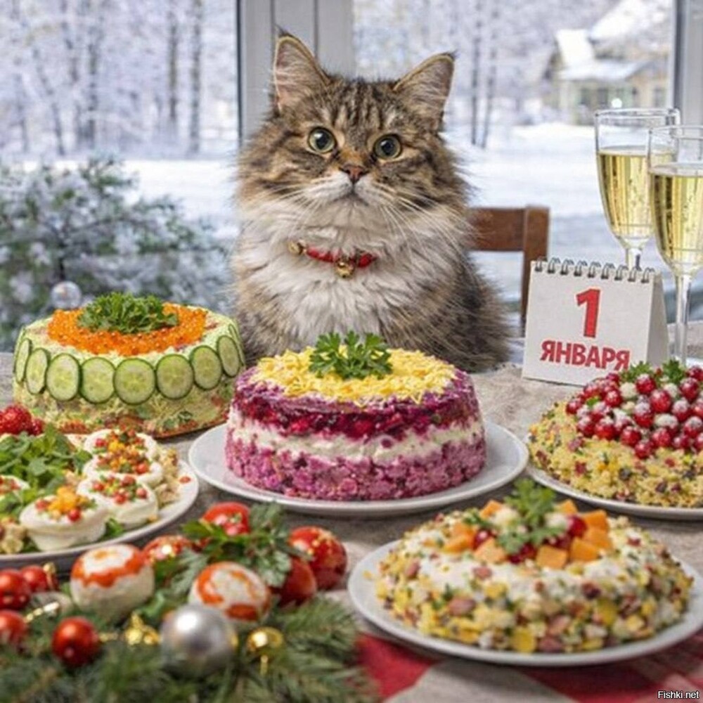 Солянка