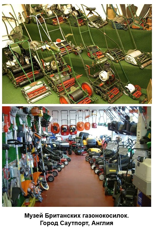 Странные музеи