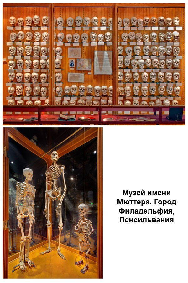Странные музеи
