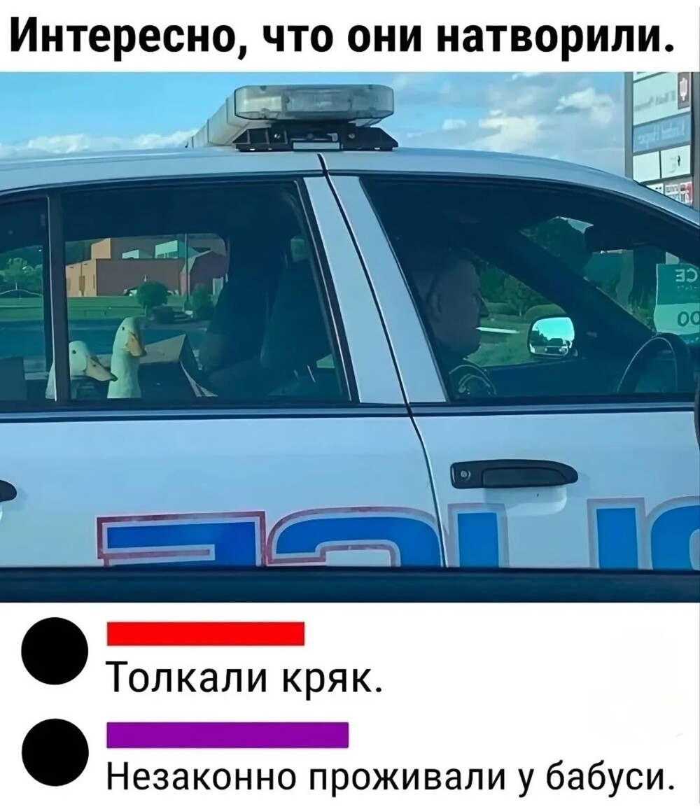 Большая тарелка позитива