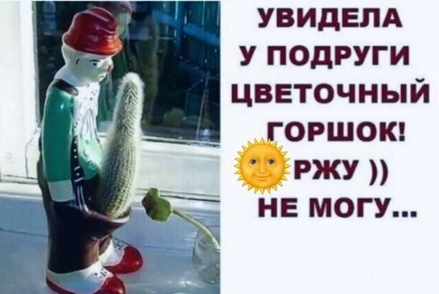 Большая тарелка позитива