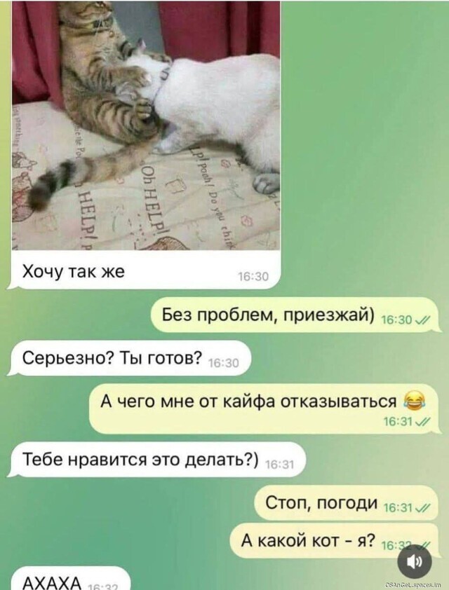 Большая тарелка позитива