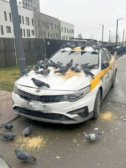 АвтоВсячина