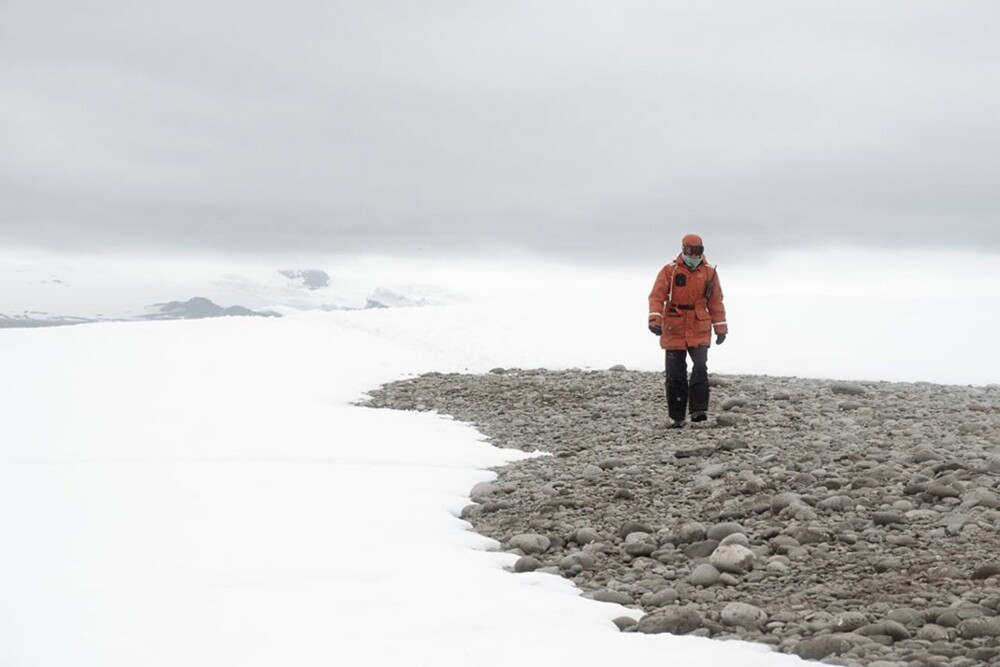 Скорость ветра в некоторых местах Антарктиды может достигать 320 км.ч.