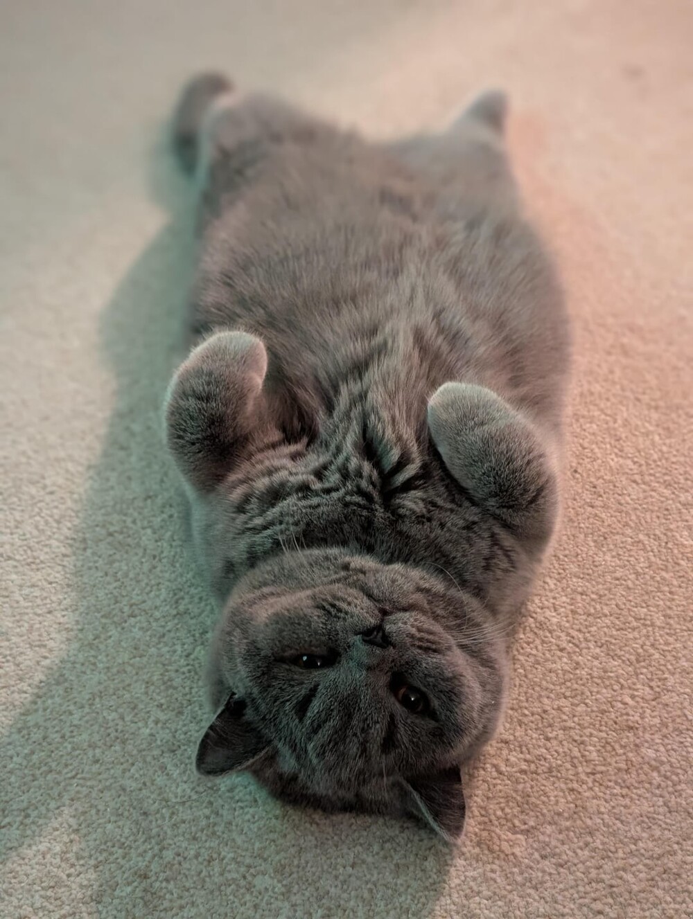 15. Настроение - лежать и ни о чём не думать