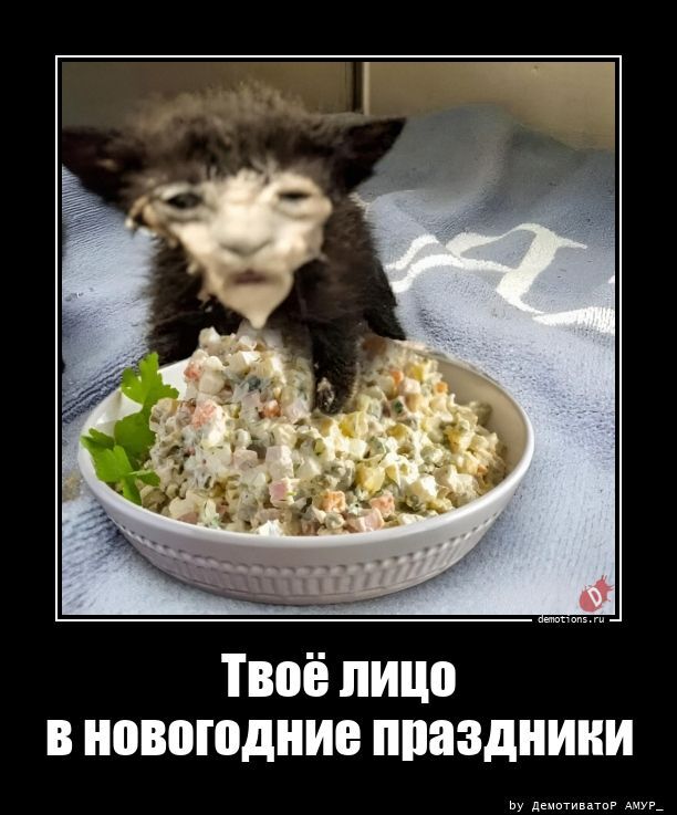 Свежие и прикольные демотиваторы