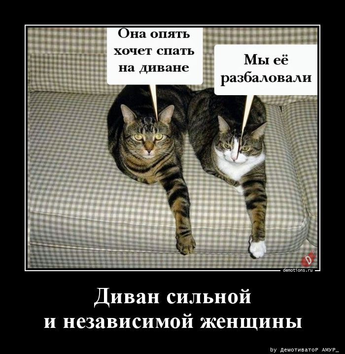 Свежие и прикольные демотиваторы