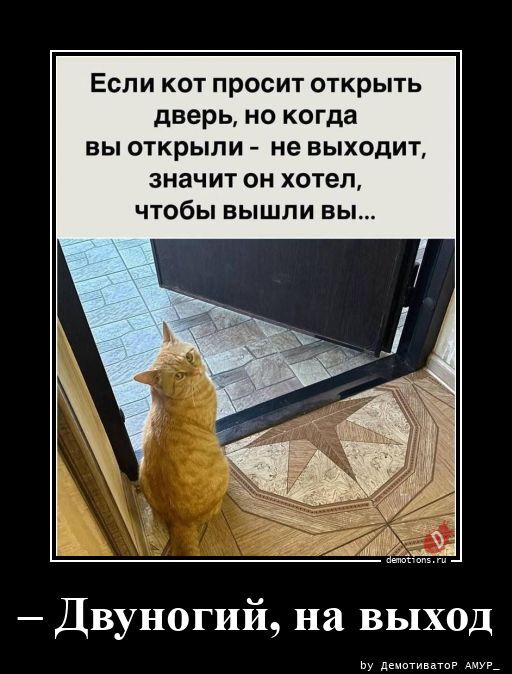 Свежие и прикольные демотиваторы