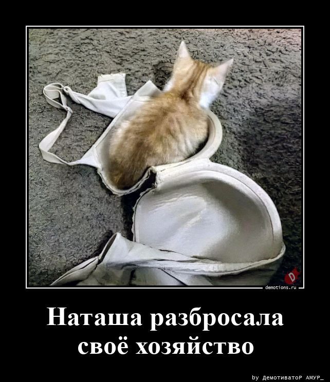 Свежие и прикольные демотиваторы