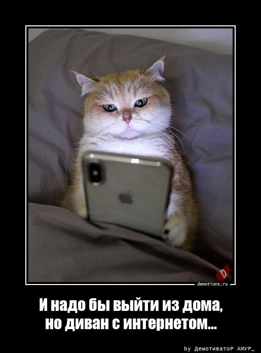 Свежие и прикольные демотиваторы