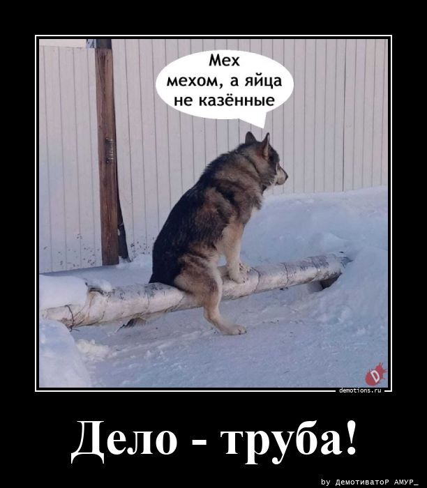 Свежие и прикольные демотиваторы