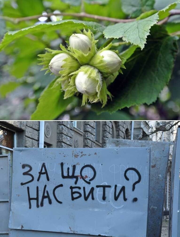 Политическая рубрика от&nbsp;NAZARETH за&nbsp;09.01.26. Новости, события, комментарии - 1977