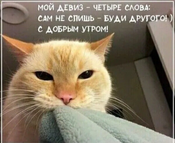 Большая тарелка улыбатора