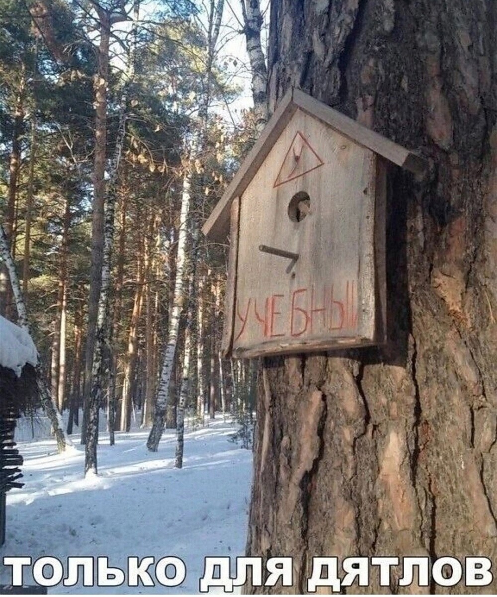 Большая тарелка улыбатора