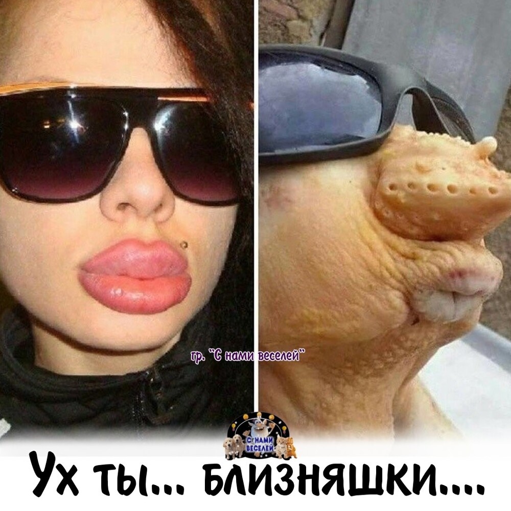 Большая тарелка улыбатора