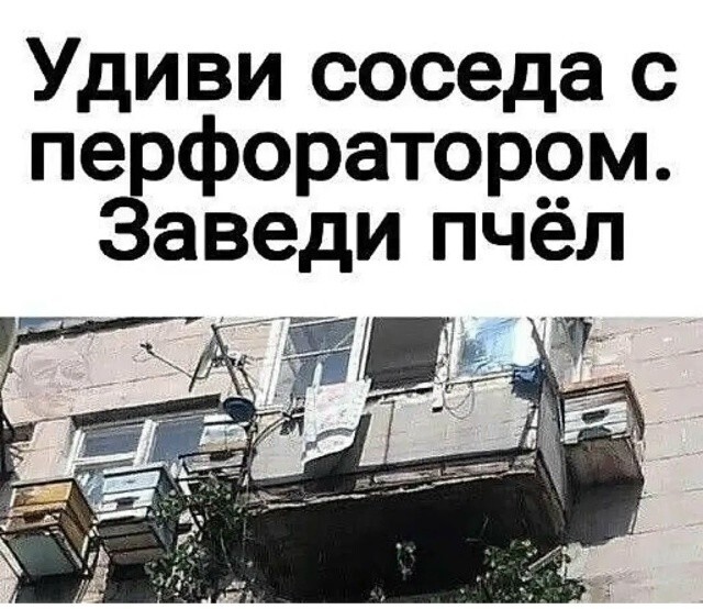Большая тарелка улыбатора