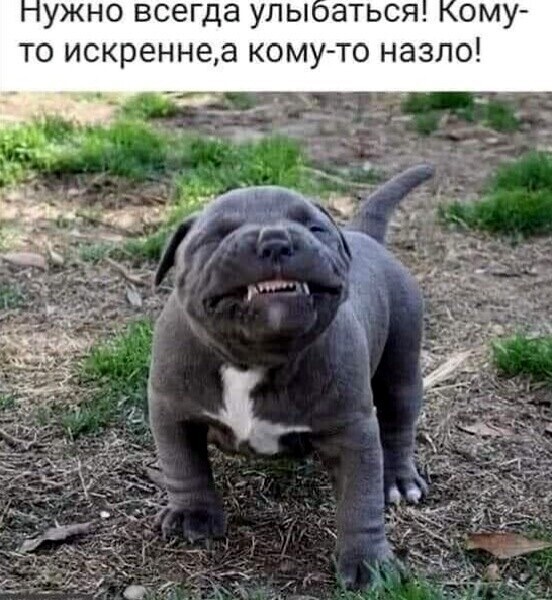Большая тарелка улыбатора