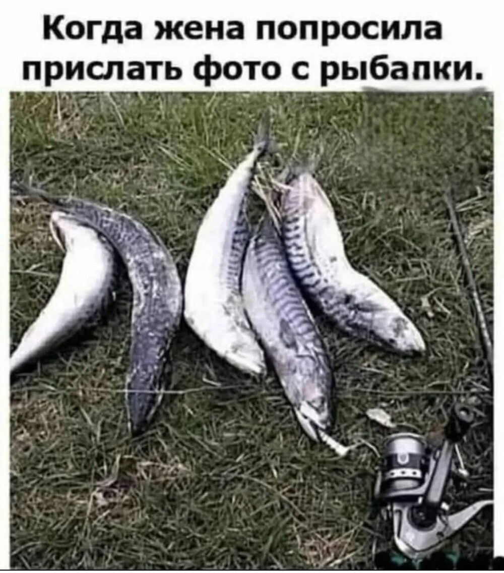 Большая тарелка улыбатора