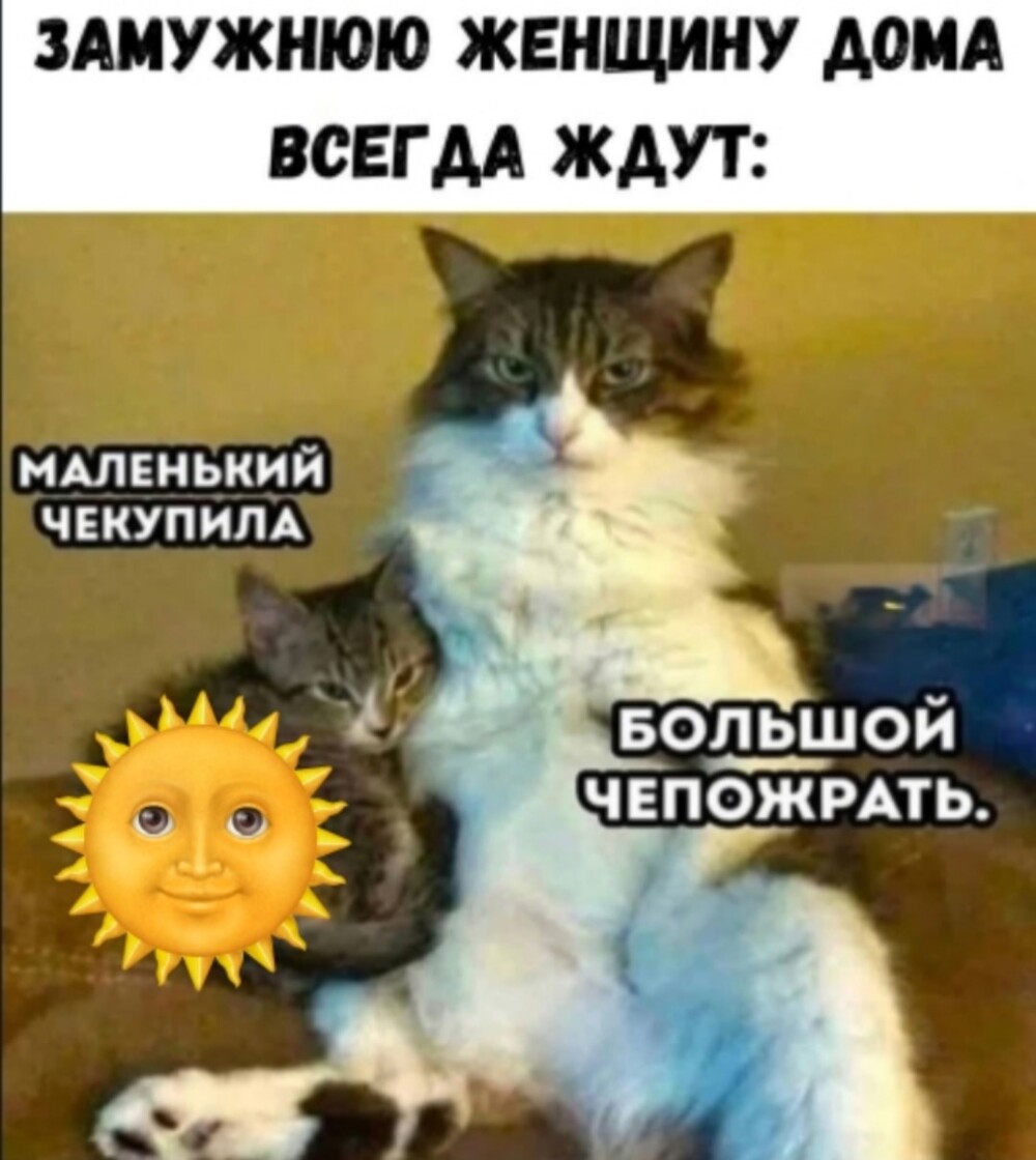 Большая тарелка улыбатора