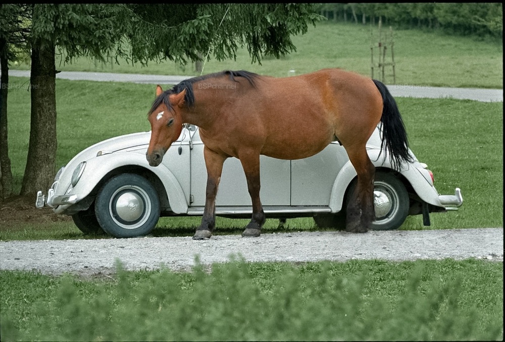 Интересные и редкие ретро-фотографии⁠⁠ Европы