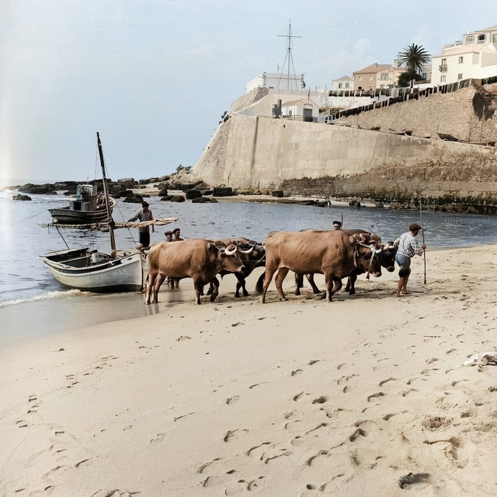 Интересные и редкие ретро-фотографии⁠⁠ Европы