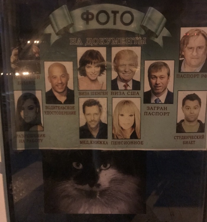 4. Кот и креативный маркетинг