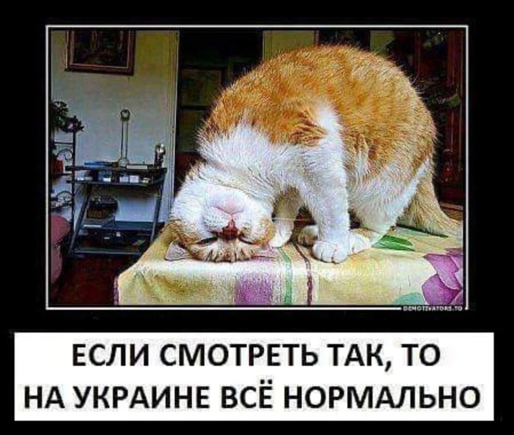 Лишь о политике и лишь о ней