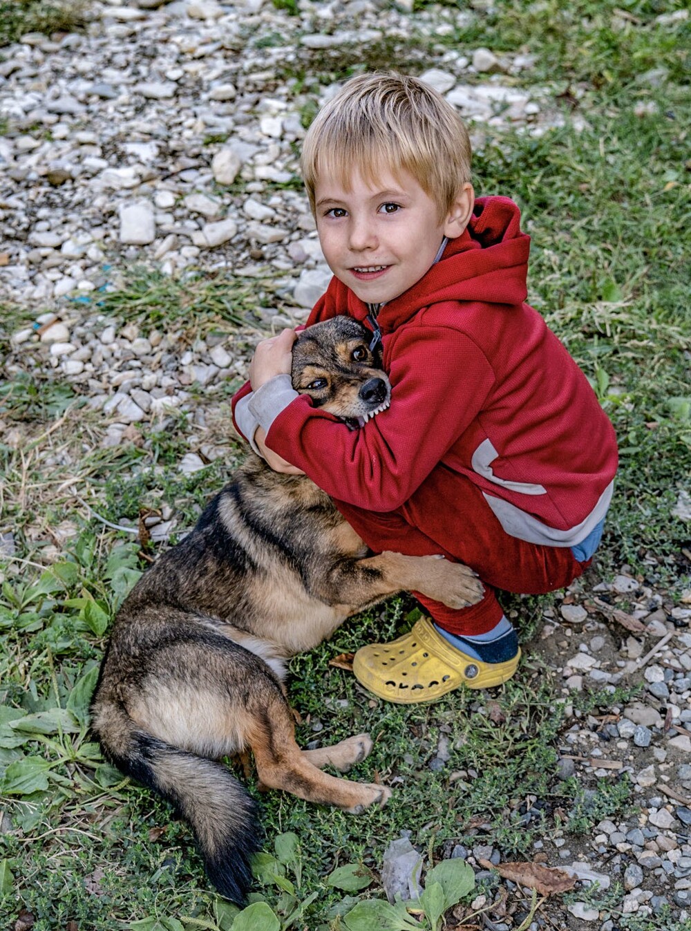 Друзья . LAZAR
